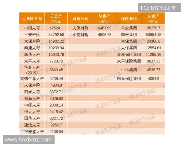 水管阀门安装与维护技巧解析提高家庭水管系统安全与效率