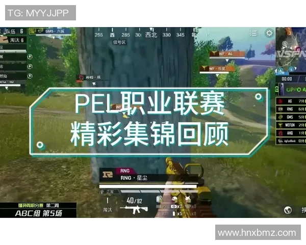 和平精英盛宴揭秘RNG战队的耐力与团队合作之道 和平精英盛宴揭秘RNG战队的耐力与团队合作之道